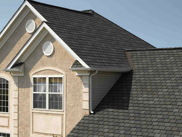 Roof Waterproofing Services