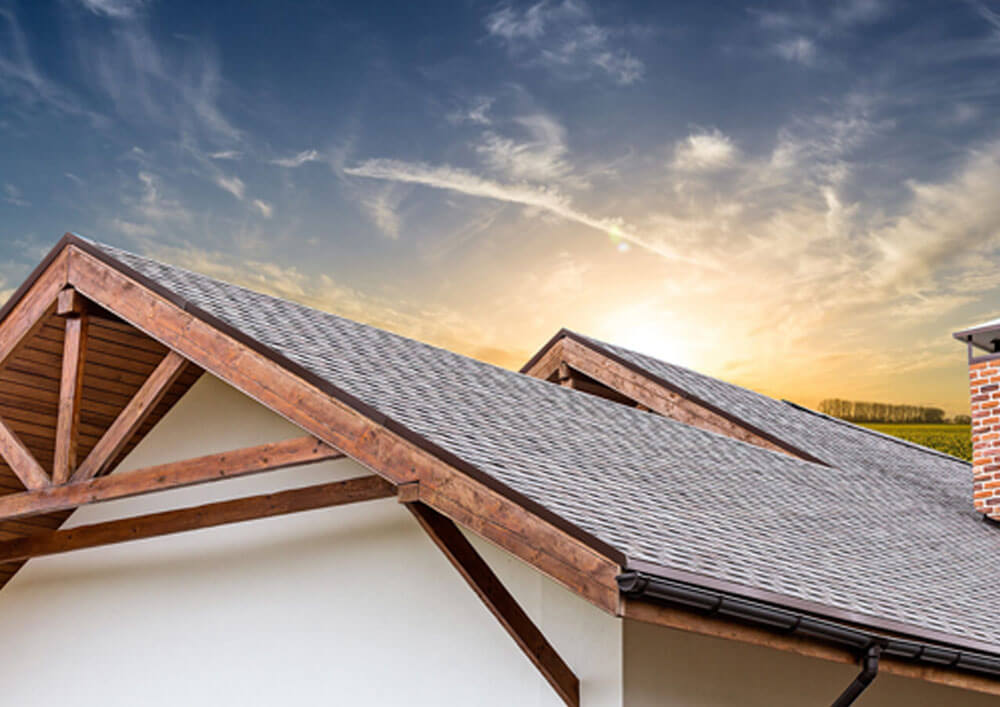 Roofing Specialist in Los Angeles